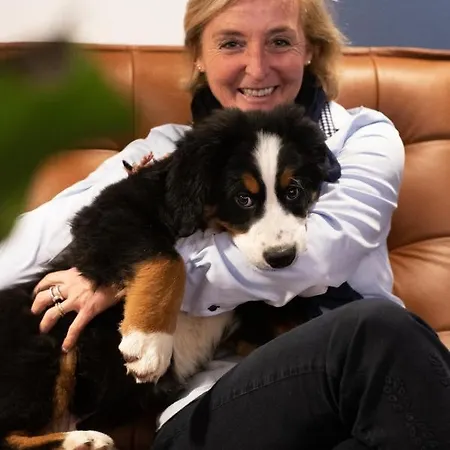 Olympic - Montana Center Hotel Crans-Montana