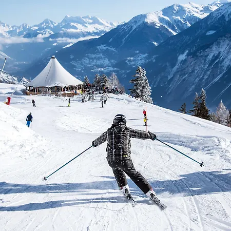 Olympic - Montana Center Hotel 3*