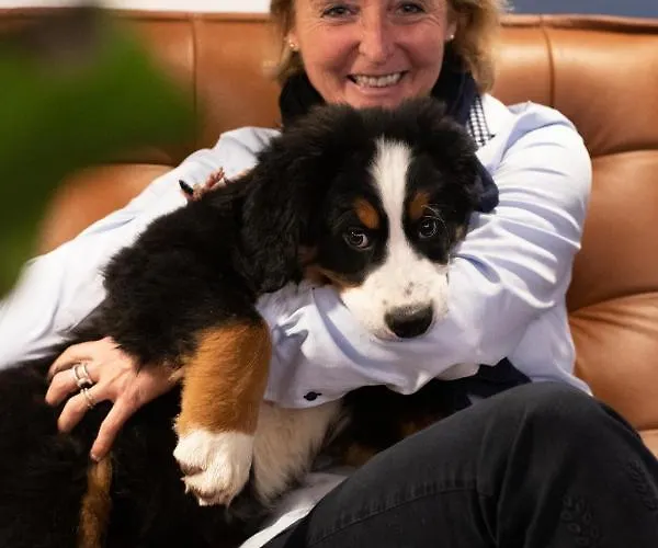 Olympic - Montana Center Hotel Crans-Montana